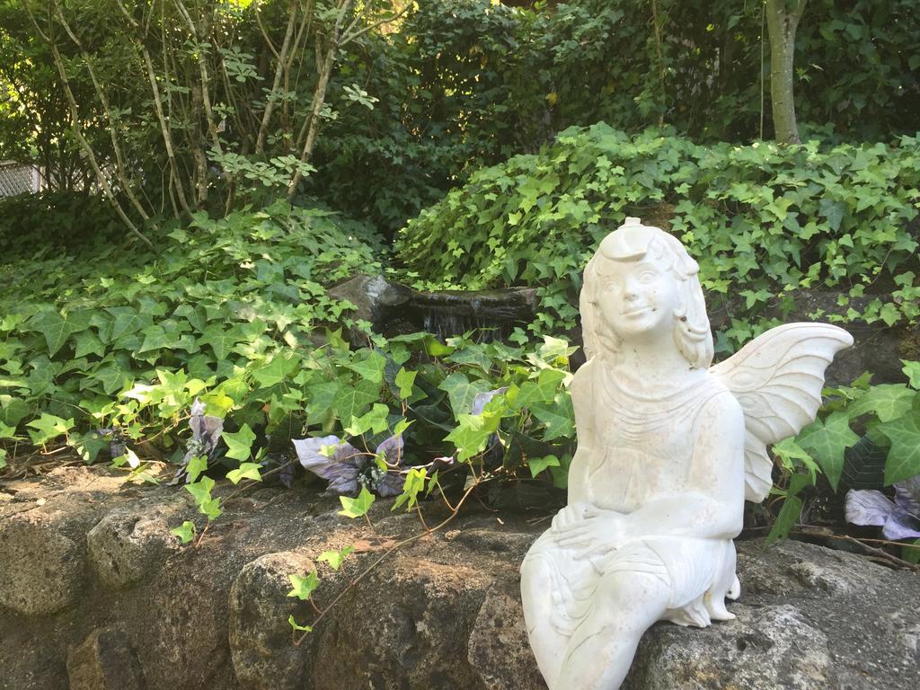 卡利斯托加山麓之家旅馆住宿加早餐旅馆 外观 照片