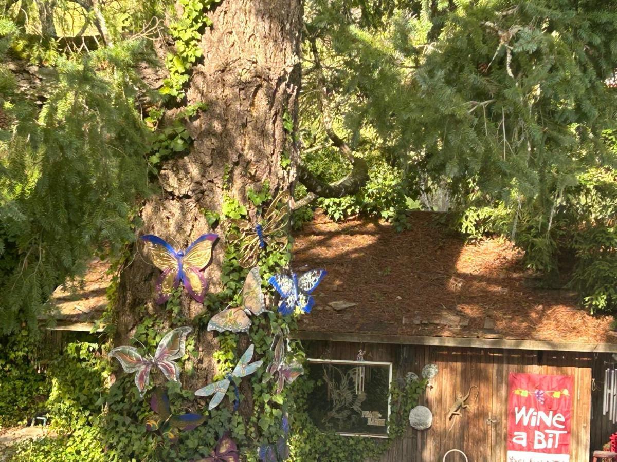 卡利斯托加山麓之家旅馆住宿加早餐旅馆 外观 照片